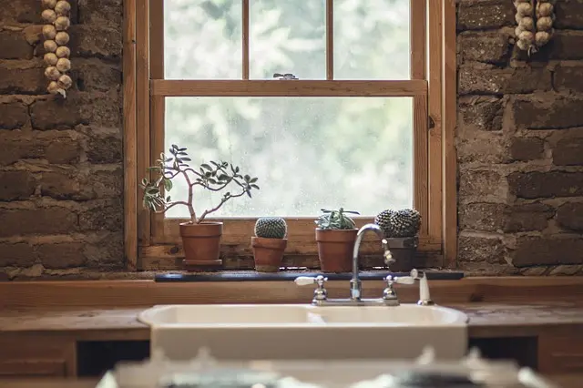Les meilleurs produits naturels pour purifier l'air de votre maison