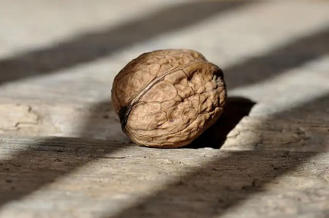 Comment intégrer des produits naturels dans votre routine quotidienne