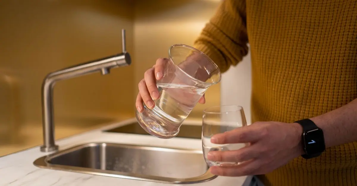 Comparatif des filtres à eau naturels
