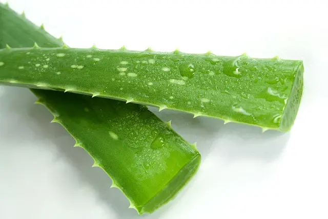 10 astuces pour intégrer des produits naturels dans votre quotidien