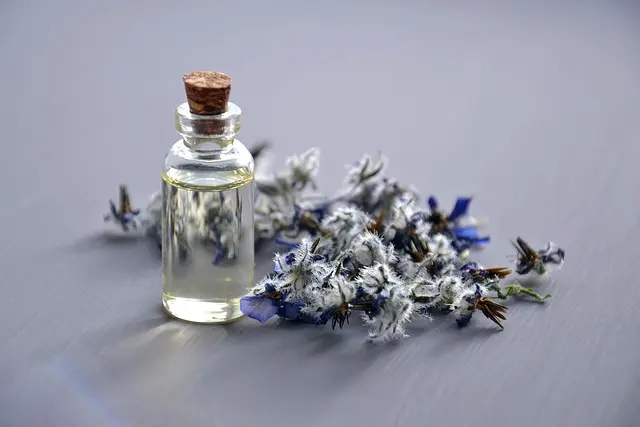 Les 10 meilleures huiles essentielles naturelles pour la santé