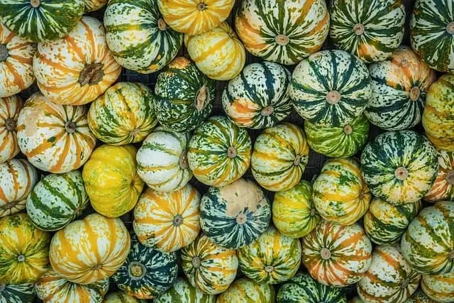 Comment choisir des produits naturels pour votre bien-être