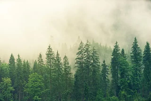 Comment choisir des produits naturels efficaces pour votre santé