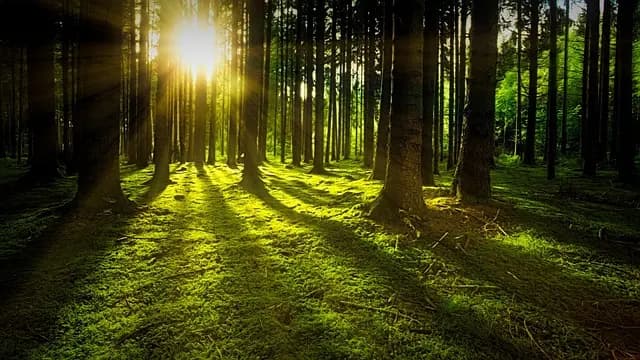 Comment choisir des produits naturels pour votre santé