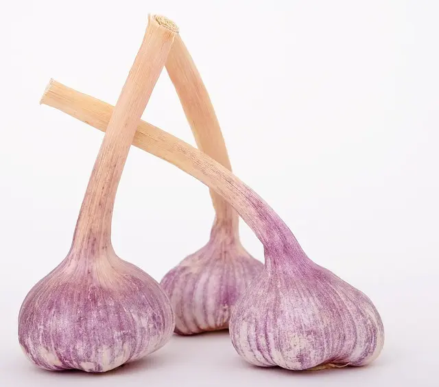 5 astuces pour utiliser les produits naturels dans votre cuisine