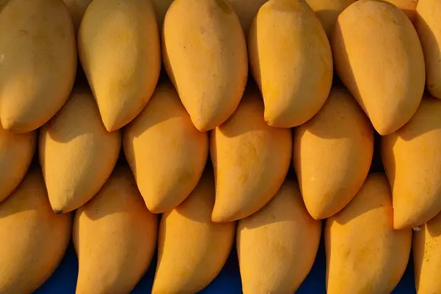Avantages des teintures naturelles pour vos vêtements