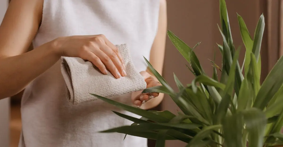 Les habitudes à adopter pour un mode de vie plus naturel