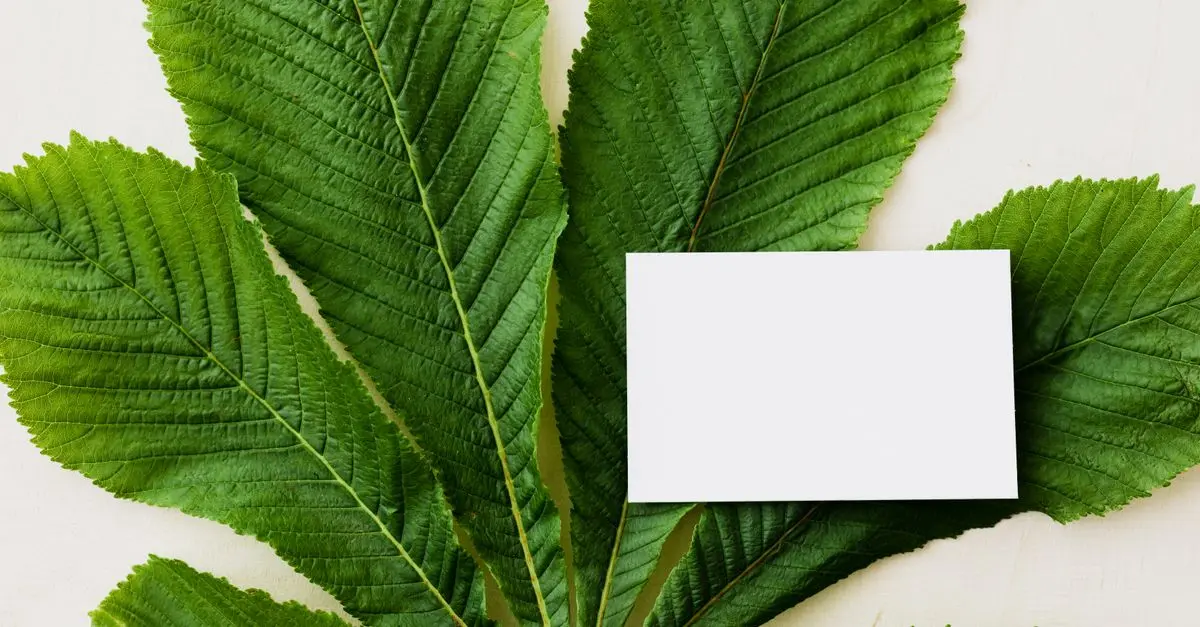 Qu'est-ce que le label bio pour les produits naturels ?