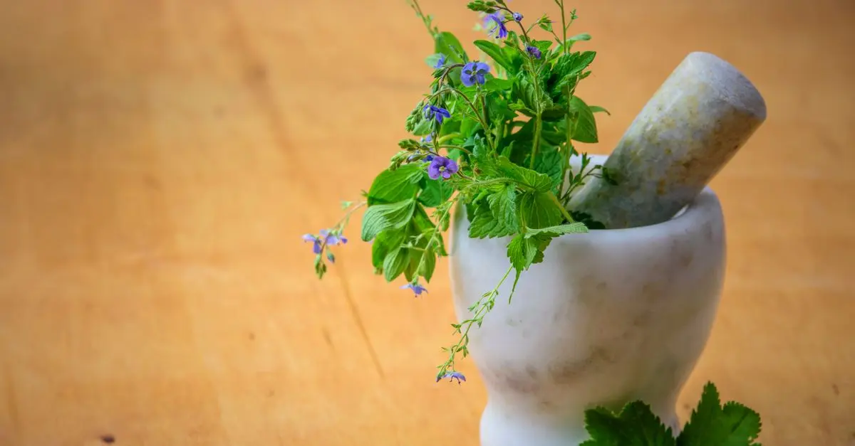 Produits naturels et durabilité : un duo gagnant