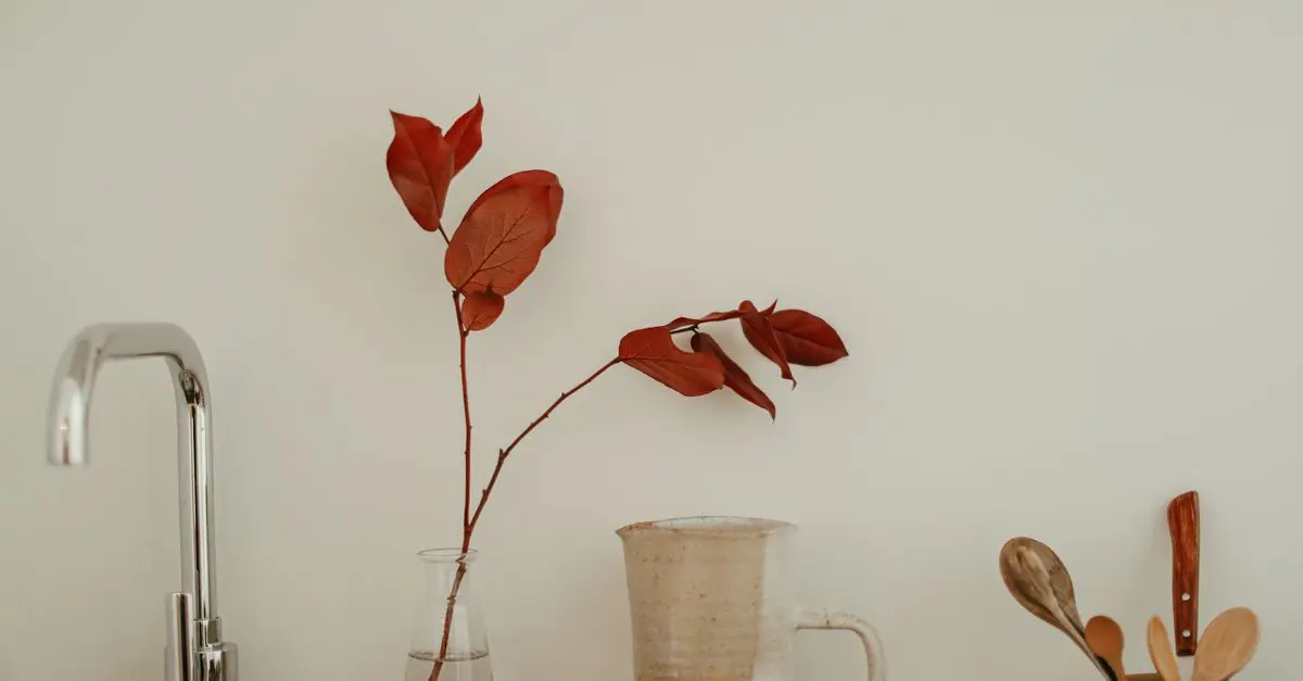 Comment intégrer les produits naturels dans votre routine quotidienne