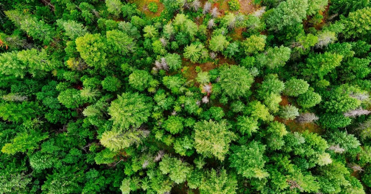 Comment les produits naturels aident-ils les écosystèmes ?