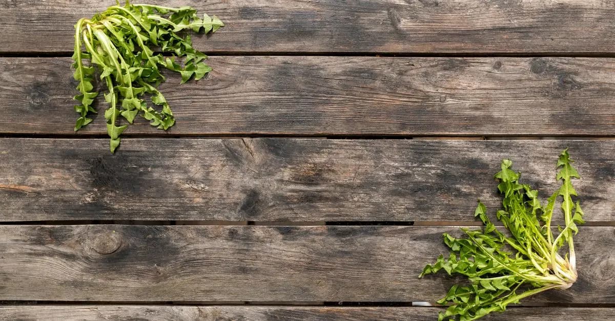 Les bienfaits des produits naturels pour la santé digestive