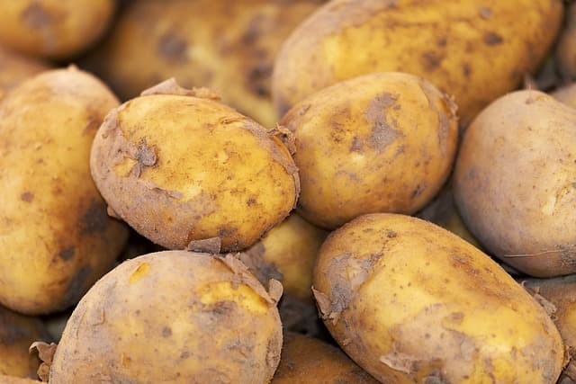 Les tendances en matière de produits naturels pour 2026