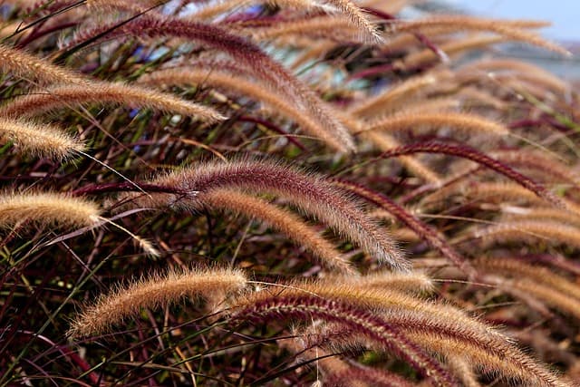 Les meilleures façons d'utiliser les produits naturels au quotidien