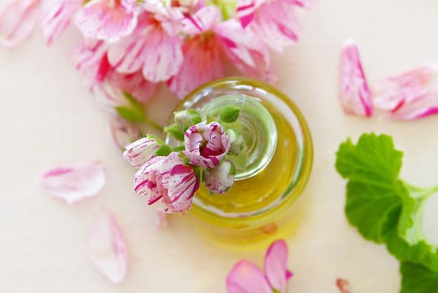 Les 10 huiles végétales incontournables pour prendre soin de votre peau