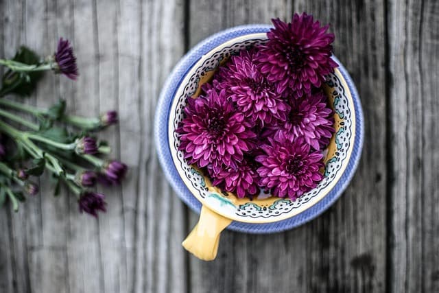 Les bienfaits des produits naturels pour la peau en profondeur