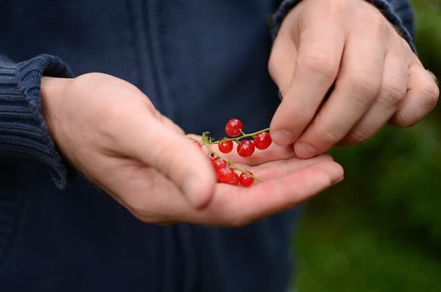 Comment choisir des produits naturels pour votre santé ?