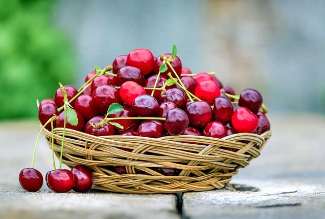 Top 5 des plantes naturelles pour votre santé